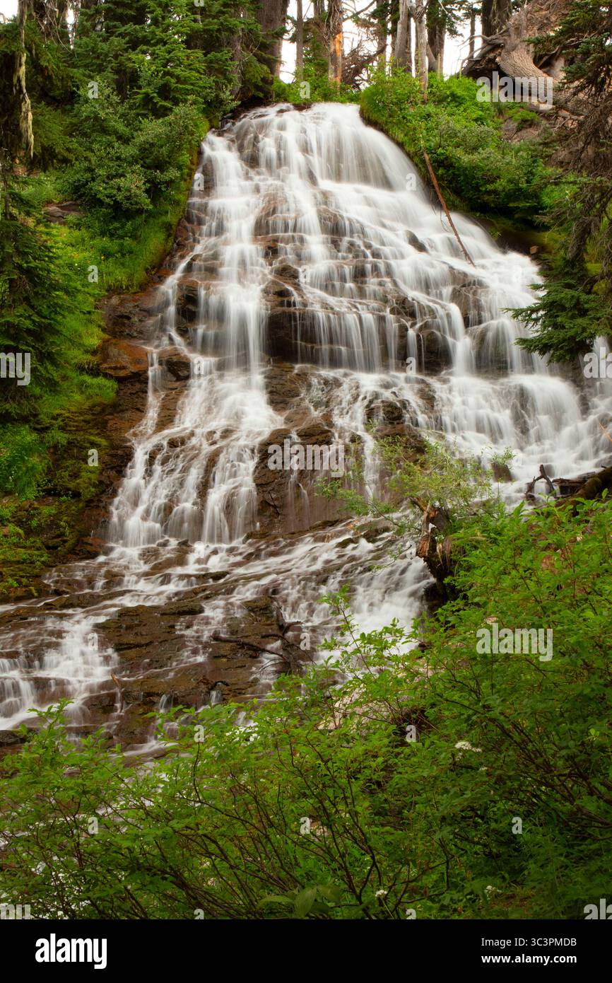 Schirm Falls, Mt Hood National Forest, Oregon Stockfoto