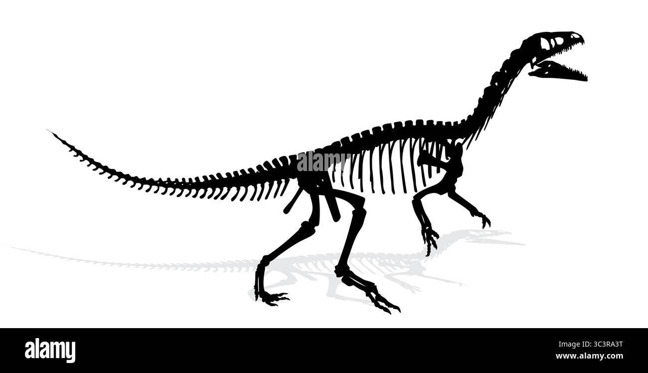 Skelett eines prähistorischen großen Dinosauriers. Stock Vektor