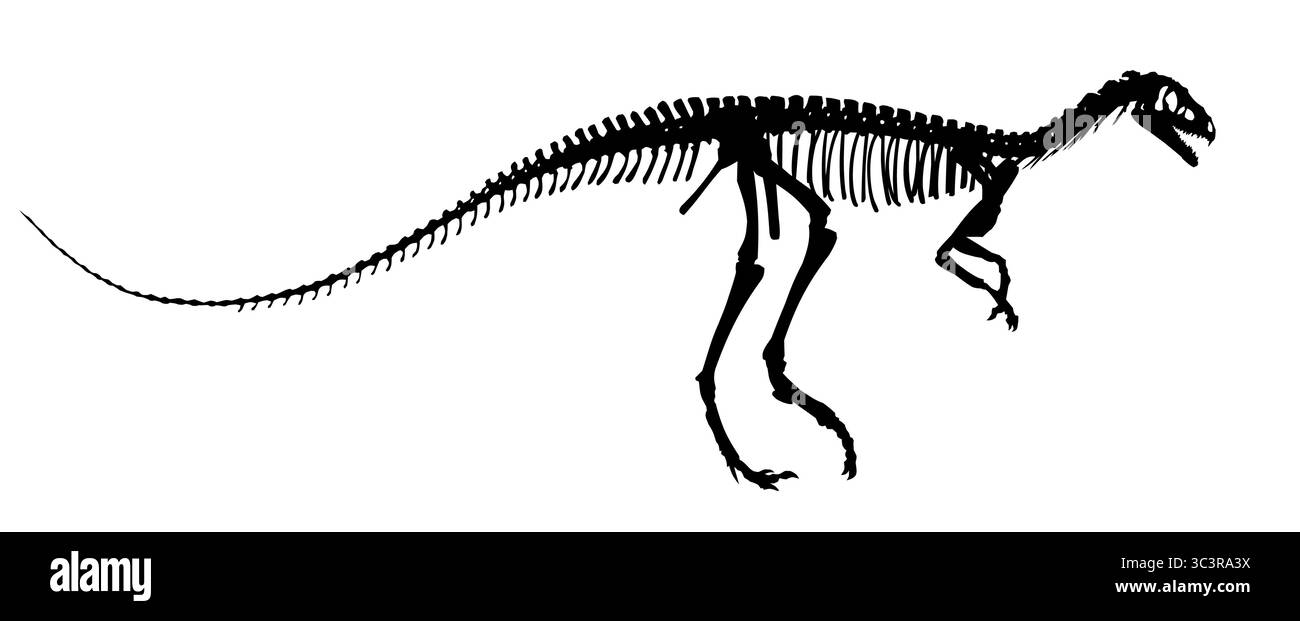 Die Silhouette des alten großen Dinosauriers Skeleton. Stock Vektor