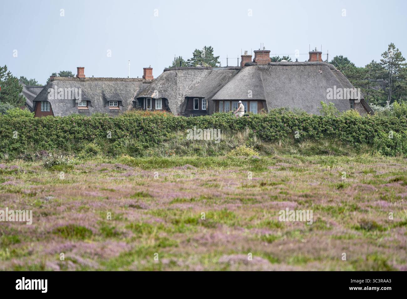 Schone Jutten Und Koolen Ein Blick Auf Den Charme Der Nordseeinsel Sylt