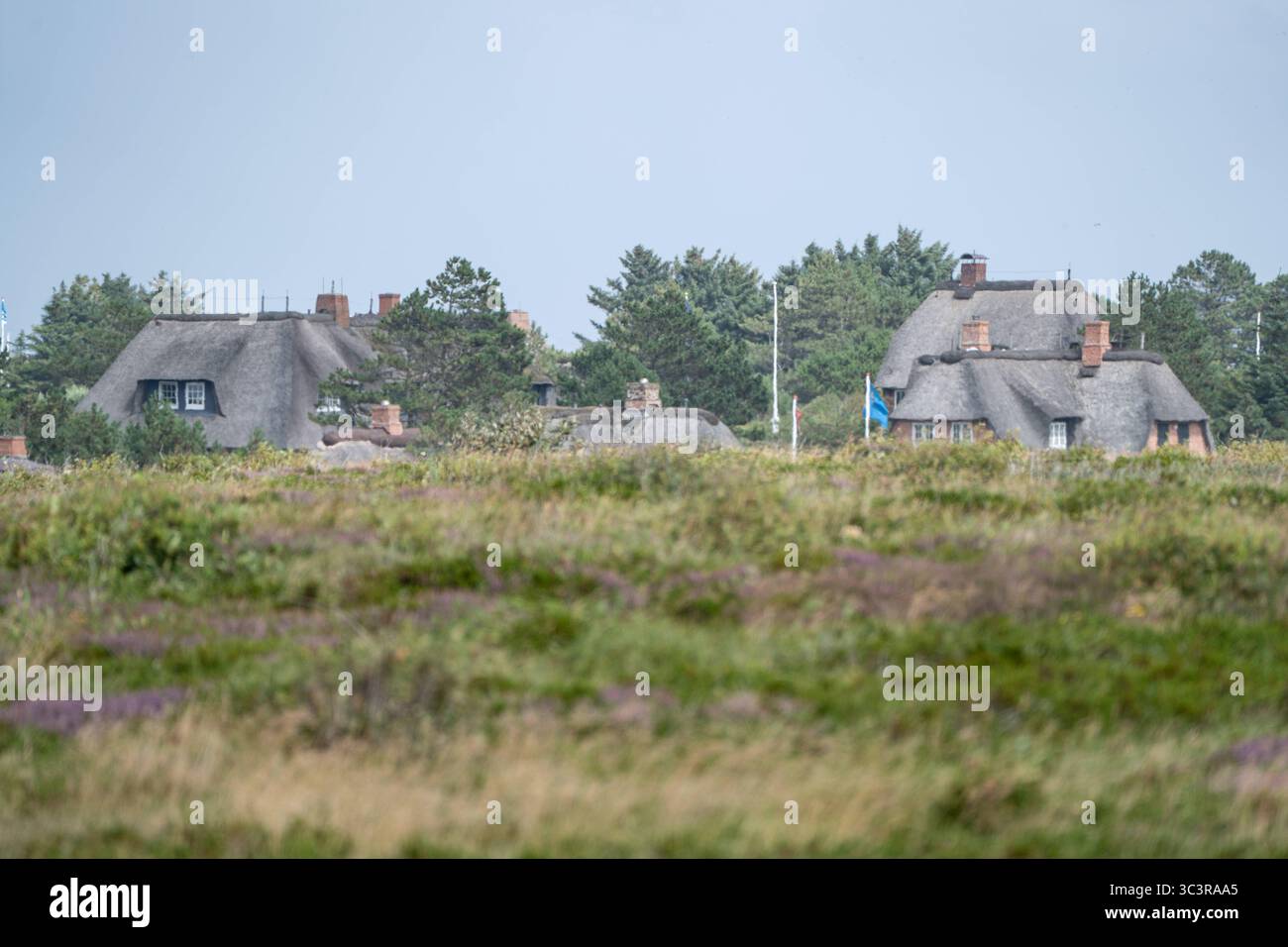 Schone Jutten Und Koolen Ein Blick Auf Den Charme Der Nordseeinsel Sylt