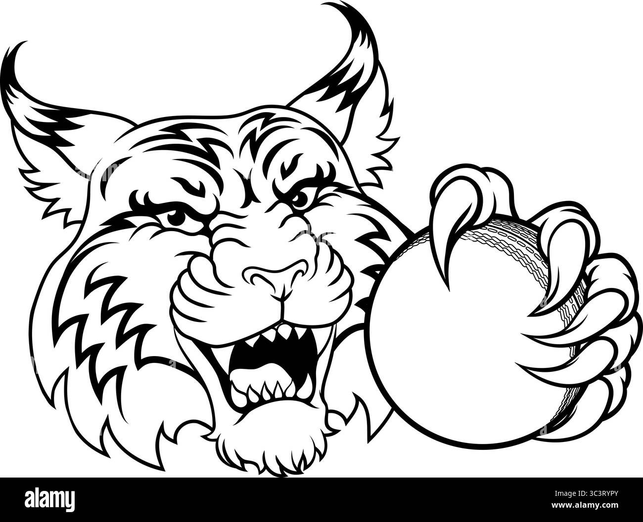 Wildcat Bobcat Cricket Ball Tier Team Maskottchen Stock Vektor