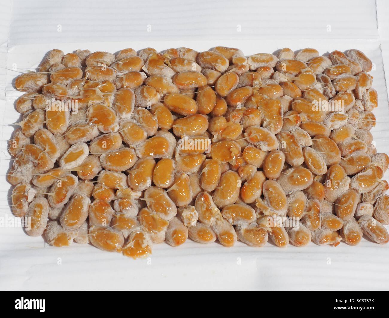 Natto: Traditionelle japanische Gerichte aus fermentierten Sojabohnen, die zum Frühstück oder Abendessen in Japan serviert werden Stockfoto