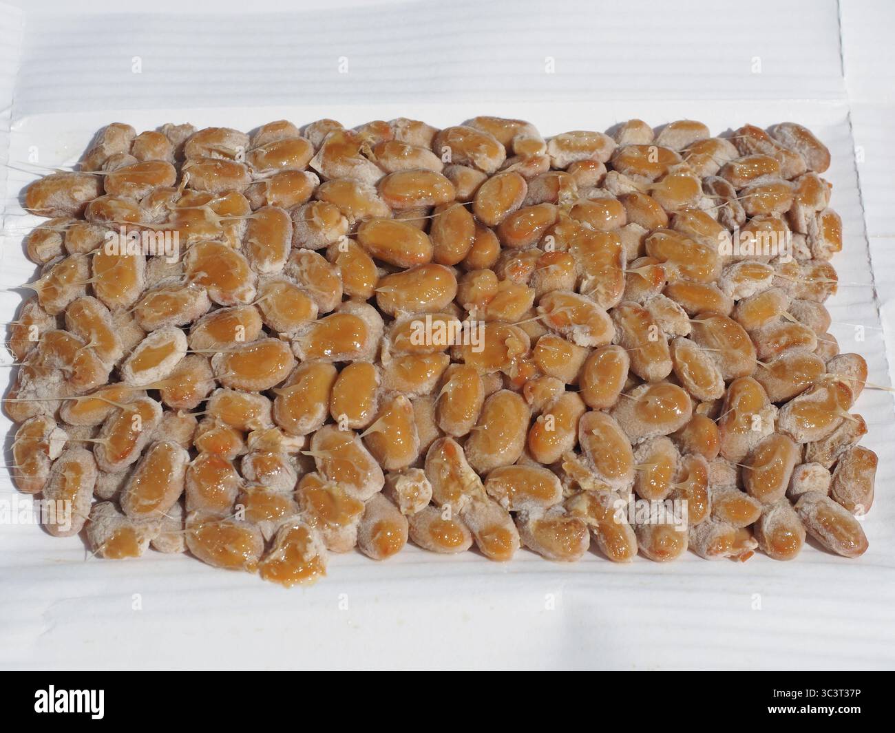 Natto: Traditionelle japanische Gerichte aus fermentierten Sojabohnen, die zum Frühstück oder Abendessen in Japan serviert werden Stockfoto