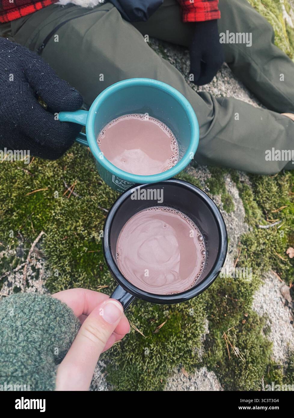 Blick von oben auf zwei Personen, die warme Getränke im Wald halten Stockfoto