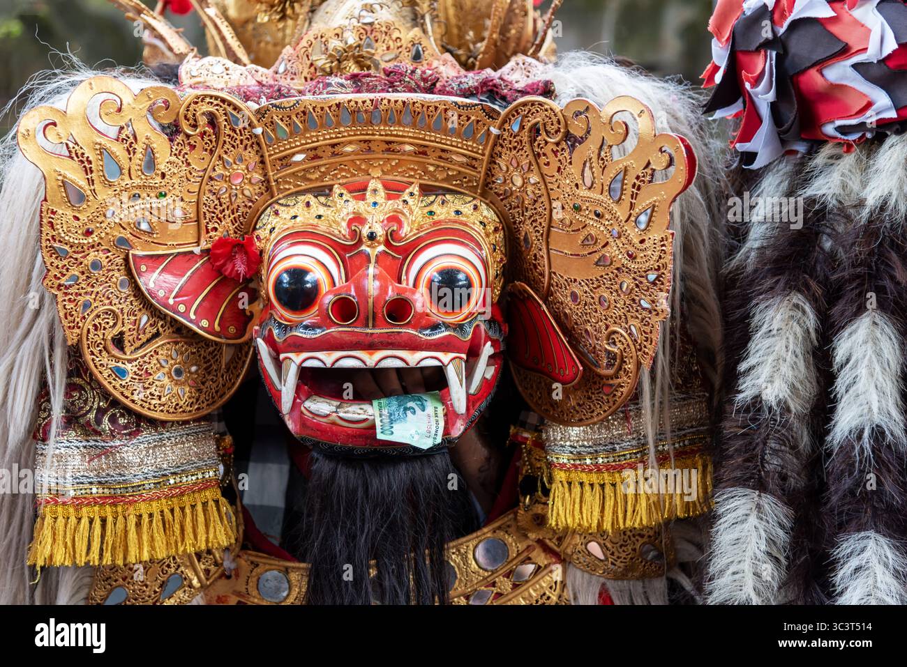 Face of barong, Figur in balinesischer Mythologie und Kultur, die gute Geister verkörpert und als Beschützer fungiert Stockfoto