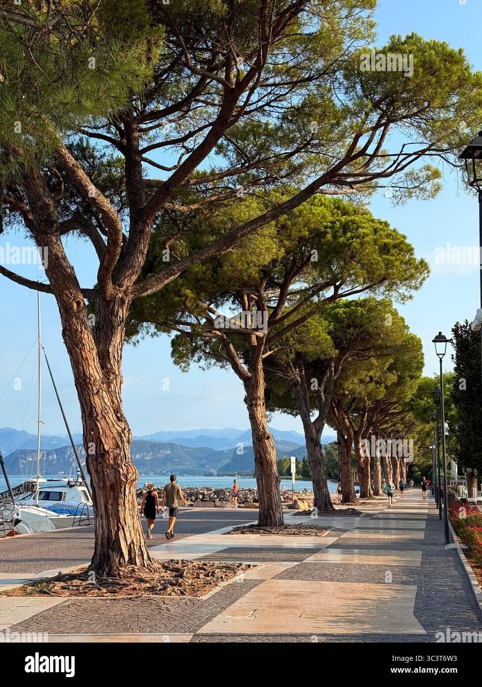Am frühen Morgen auf der von Bäumen gesäumten Promenade in Lazise am Shire des Gardasees, Italien Stockfoto