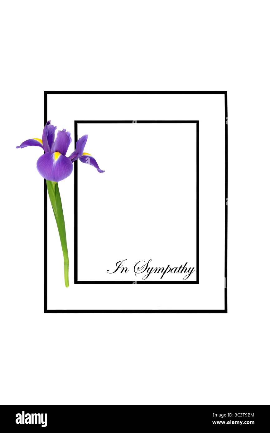 RIP-Gedenkkarte mit lila Irisblume auf schwarzem Rahmen auf weiß. Minimales Erinnerungshintergrund für Beerdigung. Stockfoto