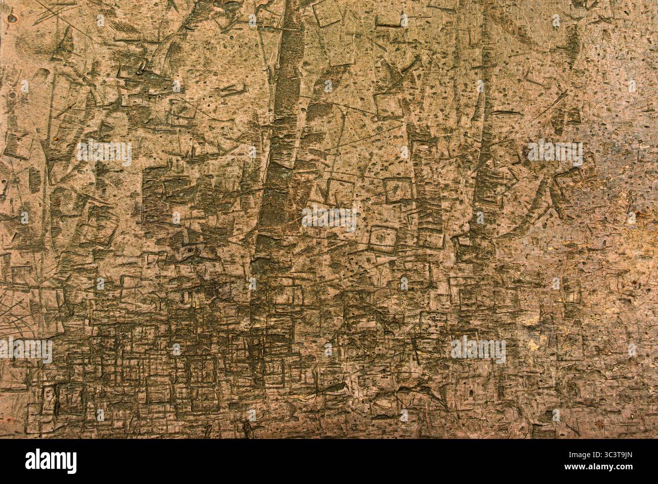 „Real Photographed: Abstrakte antike alte Holzstruktur – 4K-Hintergrund“. Hebt komplizierte Details und feine Texturen hervor. Hochauflösendes 4K-Bild. Stockfoto