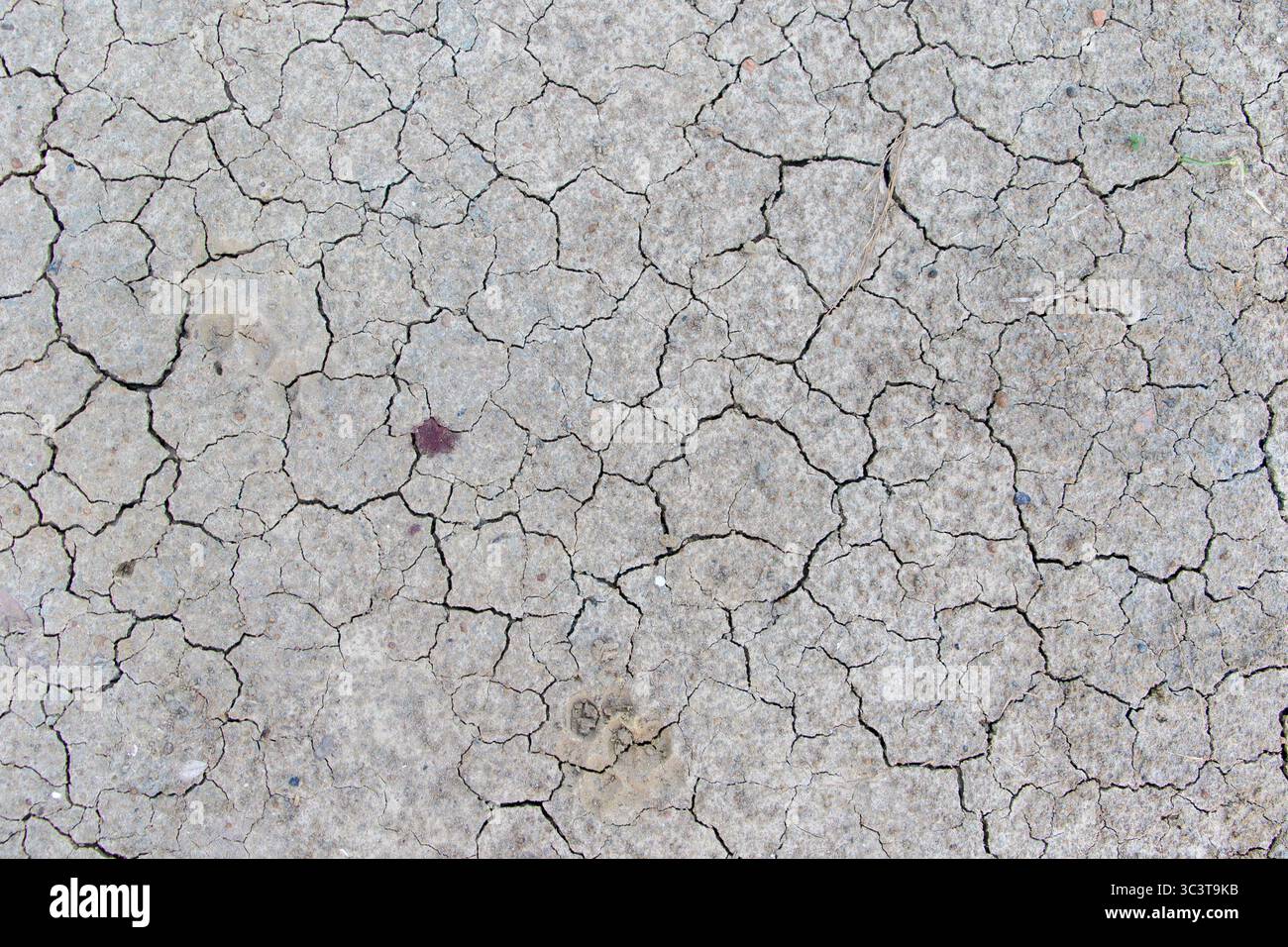 Ein detailreiches Foto von natürlichem, trockenem, rissigem Boden mit seinen komplizierten Mustern und gerösteten Oberflächen. Perfekt für trockene Landschaften. Stockfoto