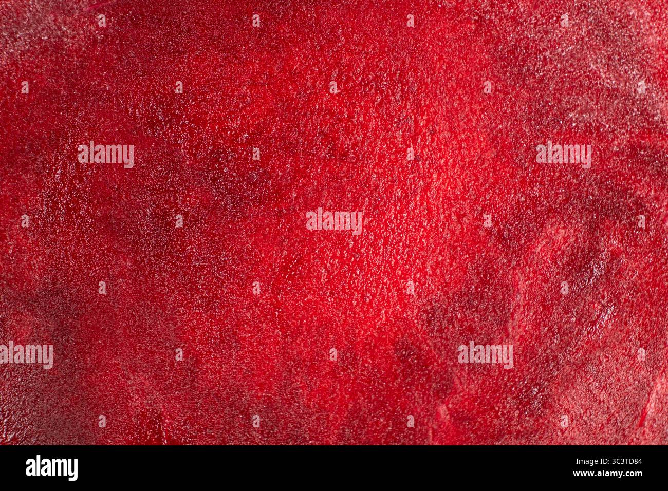 Makrotextur der rohen roten Bete von oben, abstrakter Hintergrund für Gemüsekochen Stockfoto
