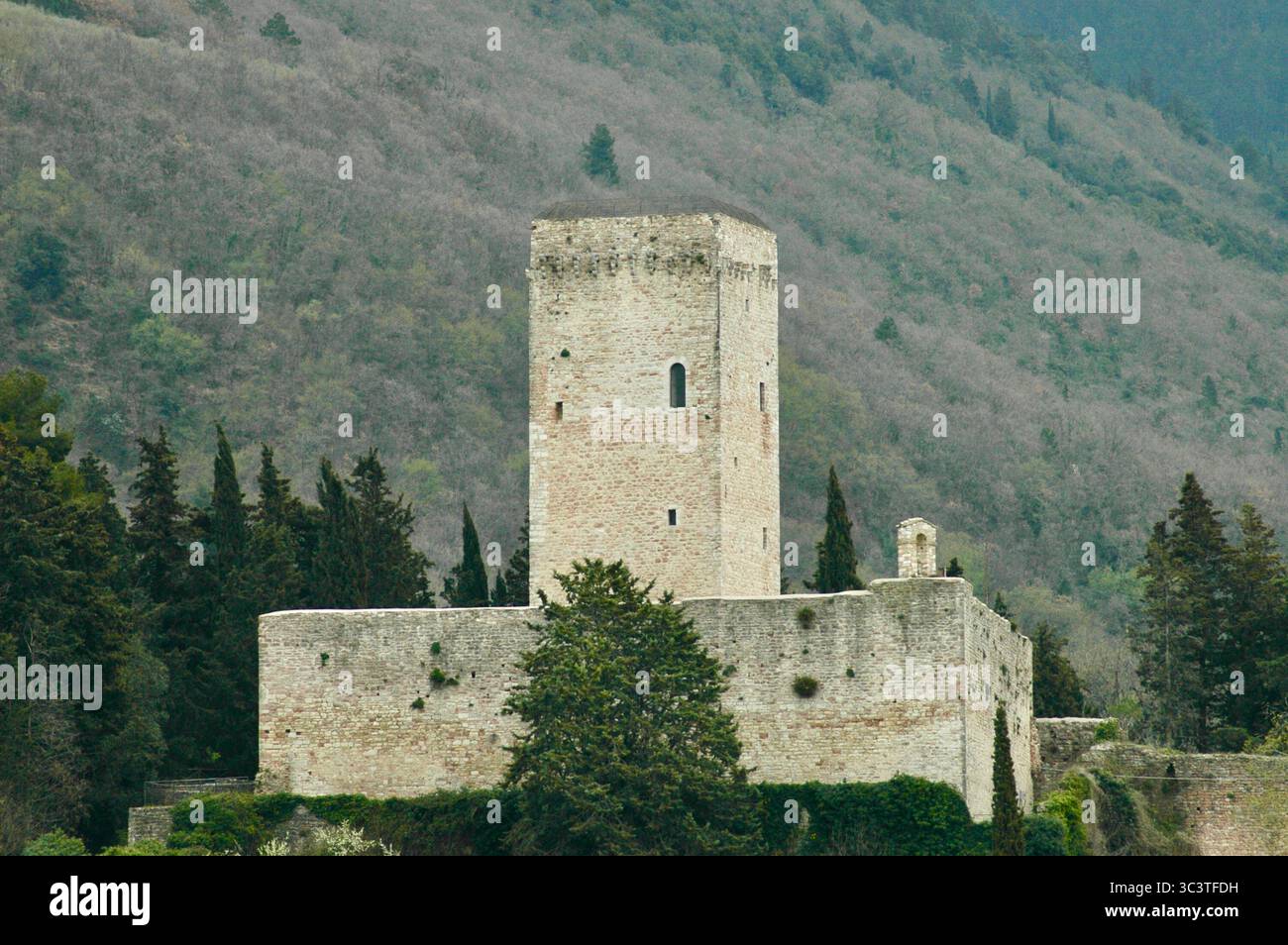 Torre del castello medievale sulla collina al di sopra di Assisi a difesa della cittadina Stockfoto