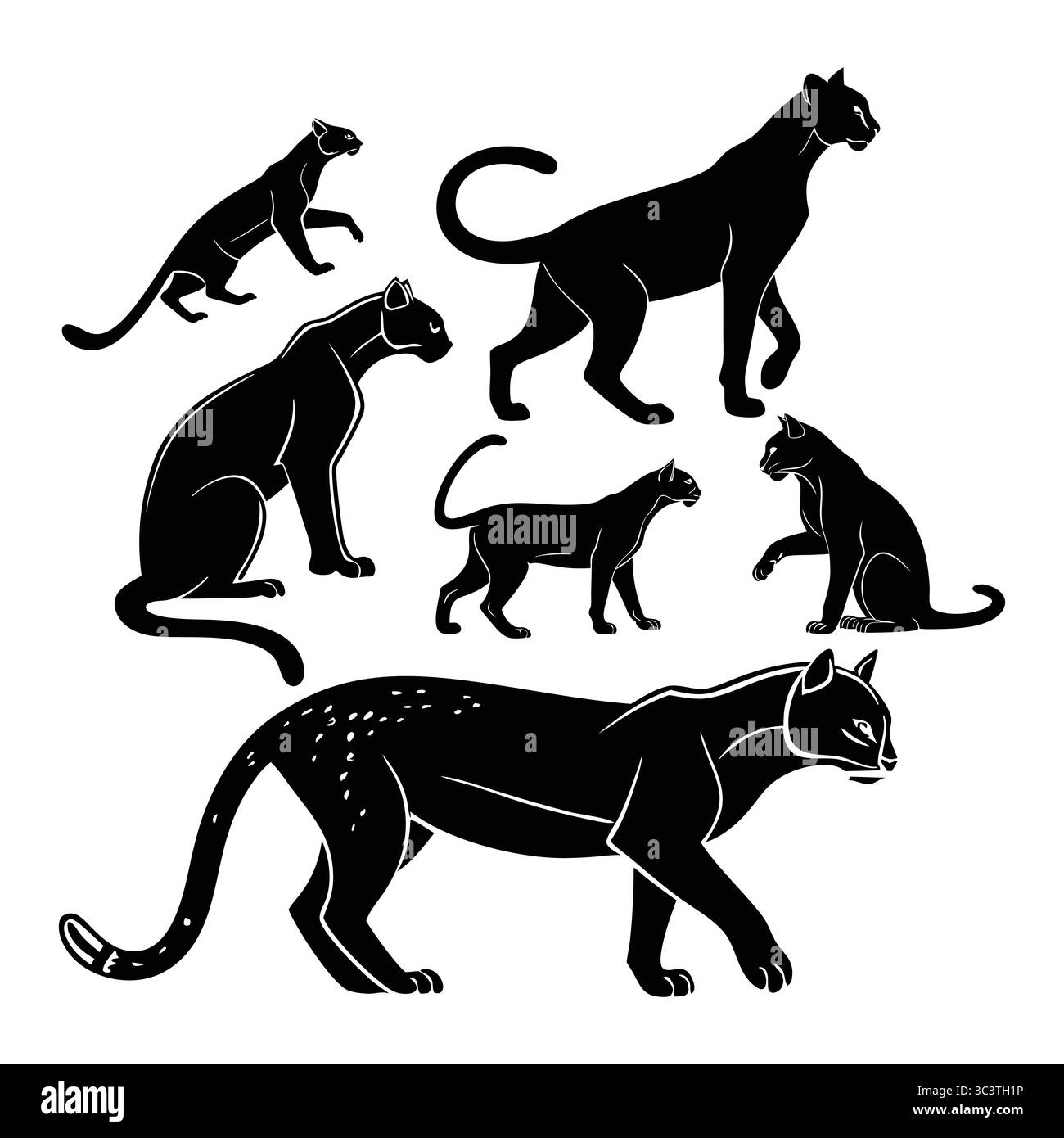 Kalligraphie König, Kunst, Illustration, Vektorkunst, Design, Grafikdesign Stock Vektor