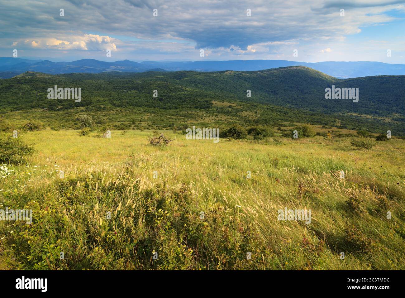 Ein Blick auf die Landschaft von den Hügeln auf dem Weg nach Shiljak in den Bergen von Rtanj, Serbien. Stockfoto