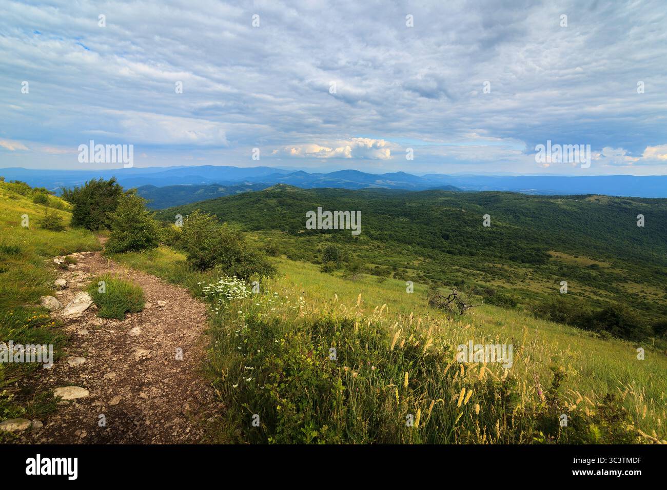 Ein malerischer Blick von den Hügeln in Richtung Shiljak, dem Berg Rtanj in Serbien, mit üppigem Grün und rauem Gelände unter einem dynamischen Himmel. Stockfoto