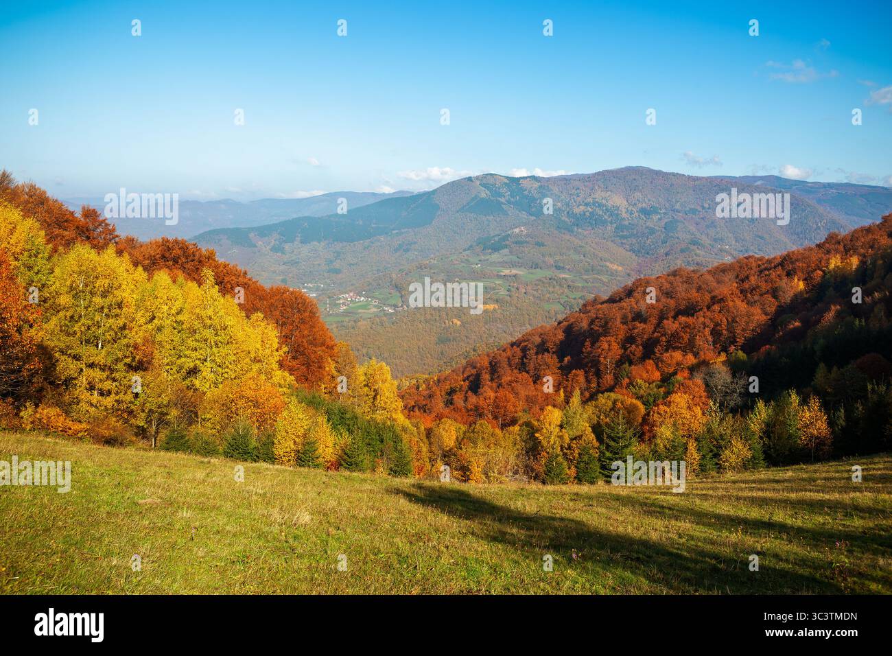Eine lebhafte Herbstlandschaft in der Nähe von Kopaonik, Serbien, mit farbenfrohen Hügeln und klarem Himmel. Stockfoto