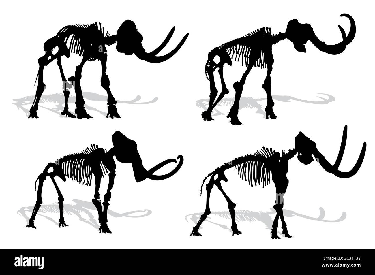 Silhouetten antiker Skelette eines Mammuts. Stock Vektor
