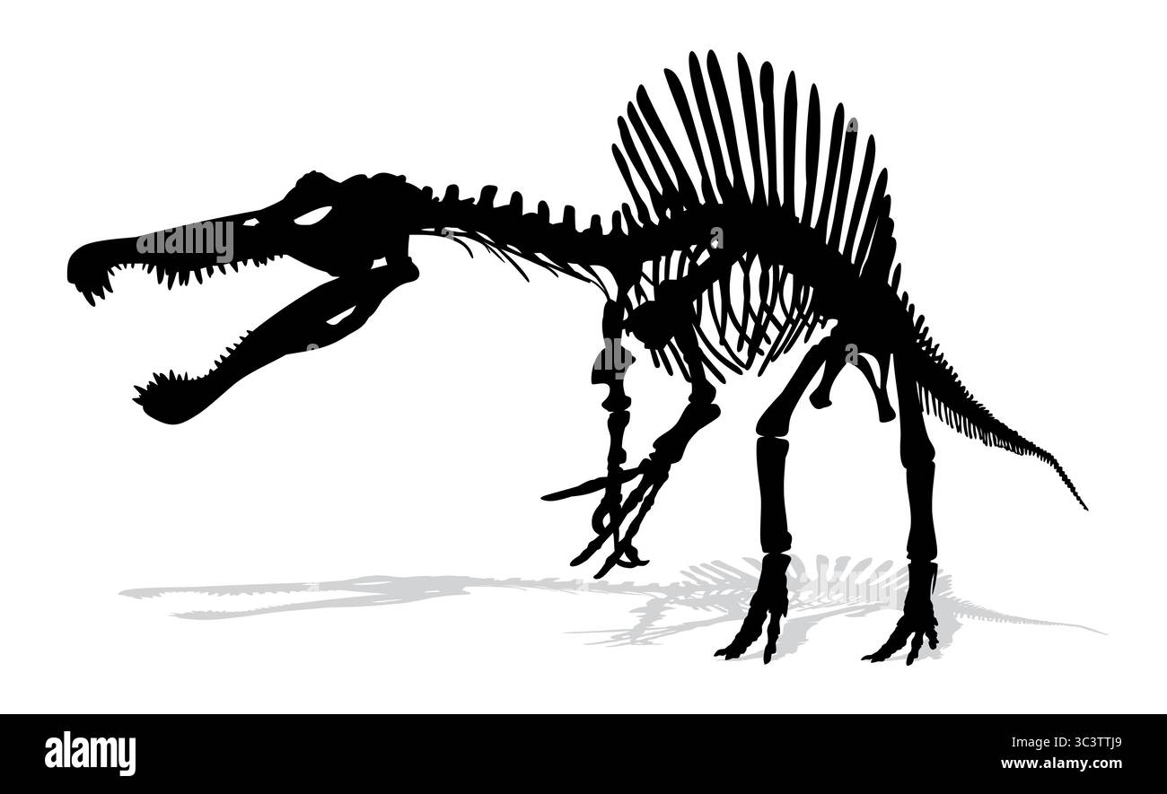 Skelett eines prähistorischen großen Dinosauriers. Stock Vektor