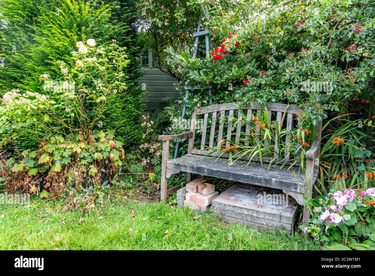 Eine Holzbank in einer ruhigen Ecke eines Hintergartens, umgeben von Grün und Pflanzen. Stockfoto