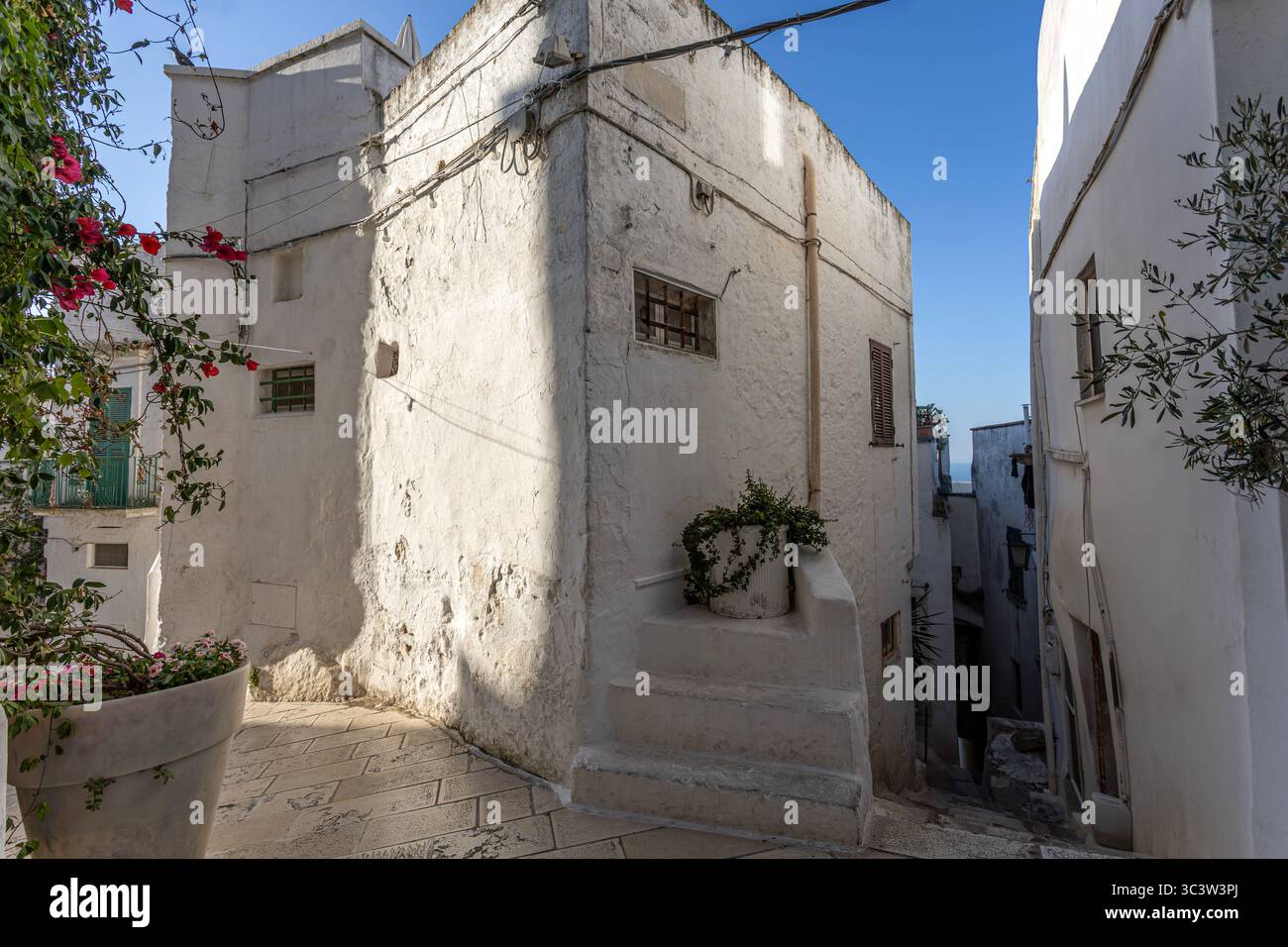 Alte und gemütliche Straße mit Blick auf die Stadt Ostuni, auch bekannt als die Weiße Stadt. Foto vom 23. Juni 2025 in der Provinz Brindisi, Region Apulien Stockfoto