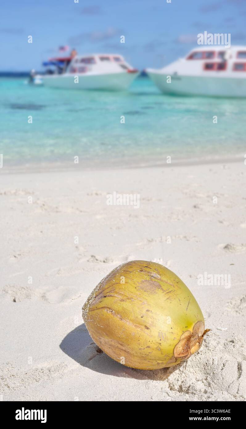 Kokosnuss am Strand von Timba Timba Island, Borneo, Malaysia. Stockfoto Kokosnuss am Strand von Timba Timba Island, Borneo, Malaysia. Stockfoto