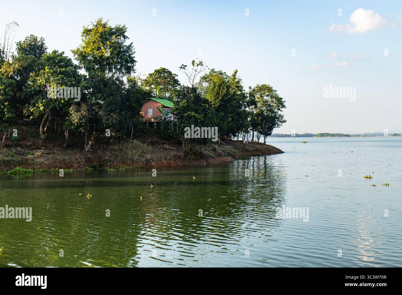 Dicht grüner Wald, der sich vom Kaptai-Wasserrand erhebt Stockfoto