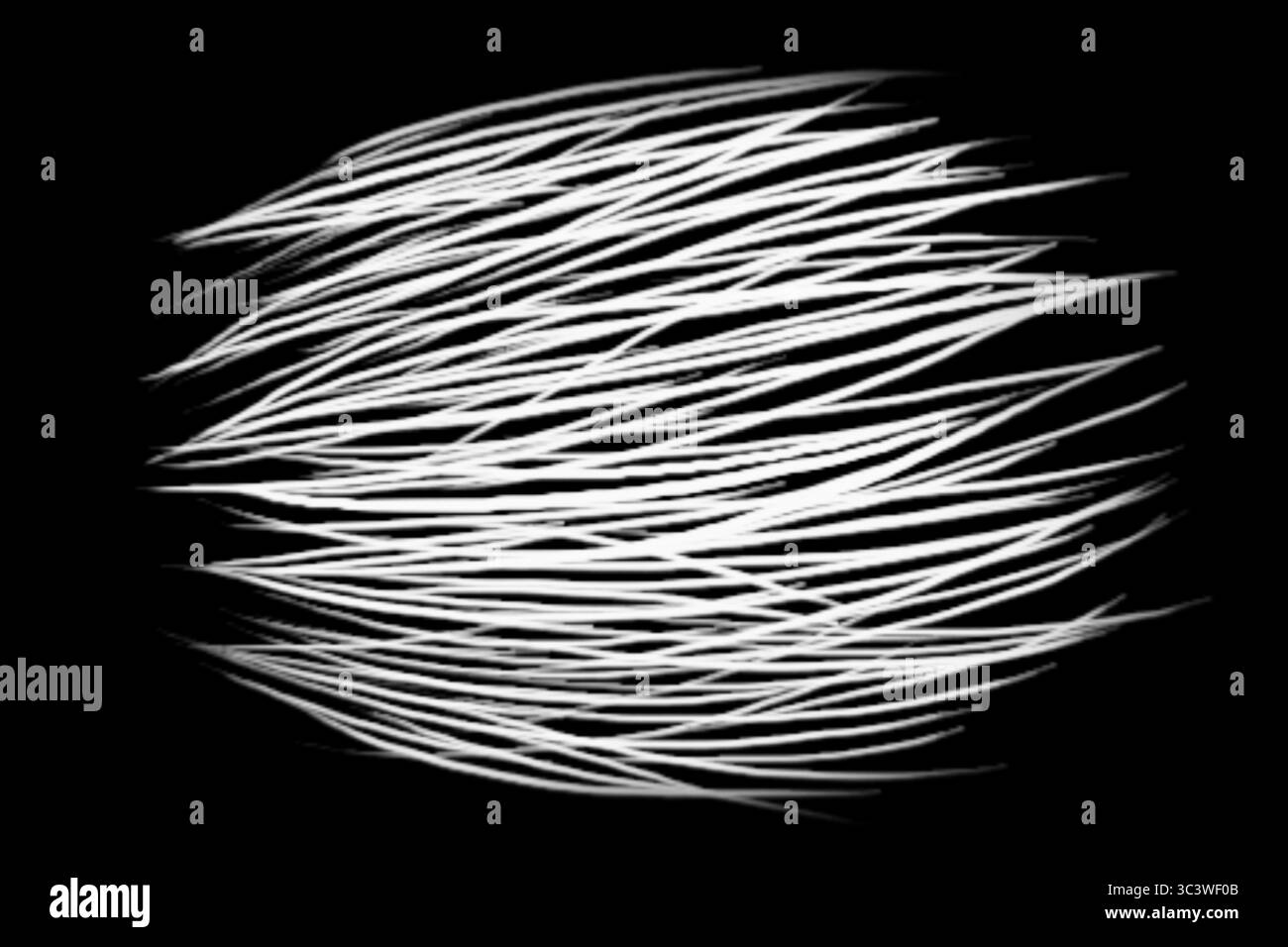 Buntes Feuerwerk in verschiedenen Farben auf schwarzem Hintergrund Stock Vektor