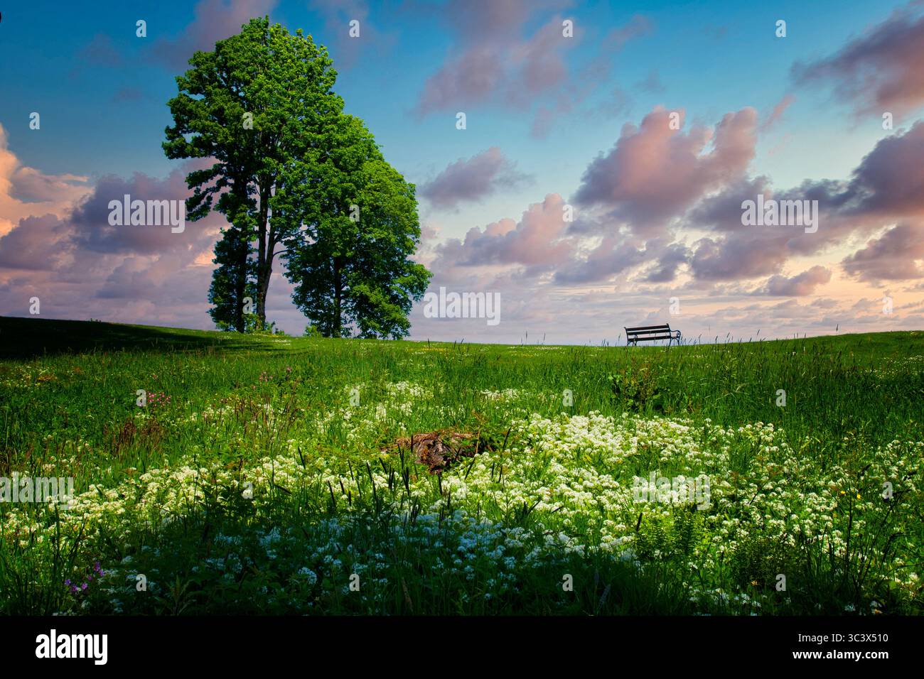 DE - BAVARIA: "Solitude: By Edund Nagele FRPS (Standort: Buchberg bei Bad Tölz, Deutschland) Stockfoto