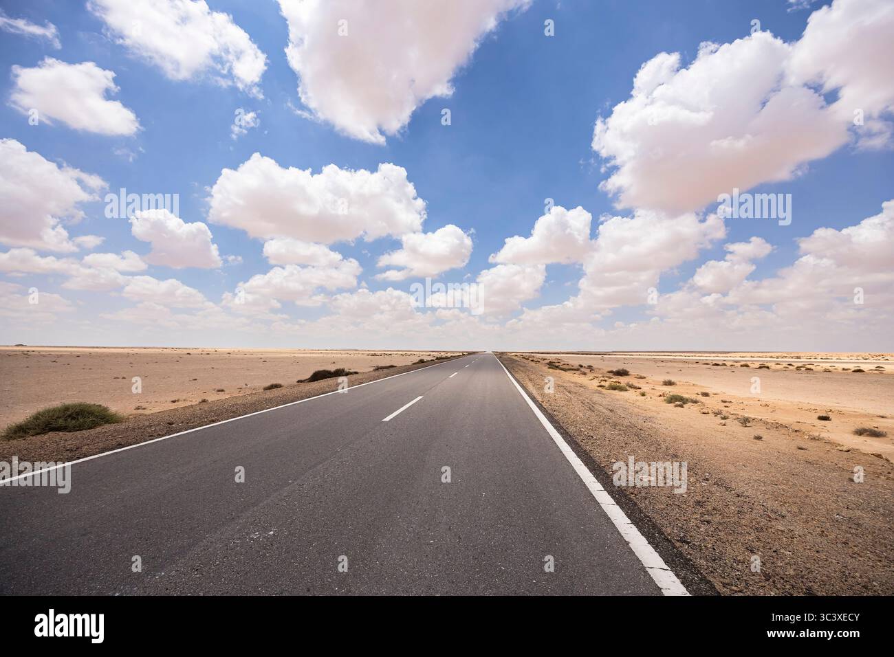 Wüstenstraße, libysche Wüste (Teil der Sahara), zwischen Siwa Oasis und Marsa Matruh, Gouvernement Marsa Matrouh, Ägypten, Nordafrika, Afrika Stockfoto Wüstenstraße, libysche Wüste (Teil der Sahara), zwischen Siwa Oasis und Marsa Matruh, Gouvernement Marsa Matrouh, Ägypten, Nordafrika, Afrika Stockfoto