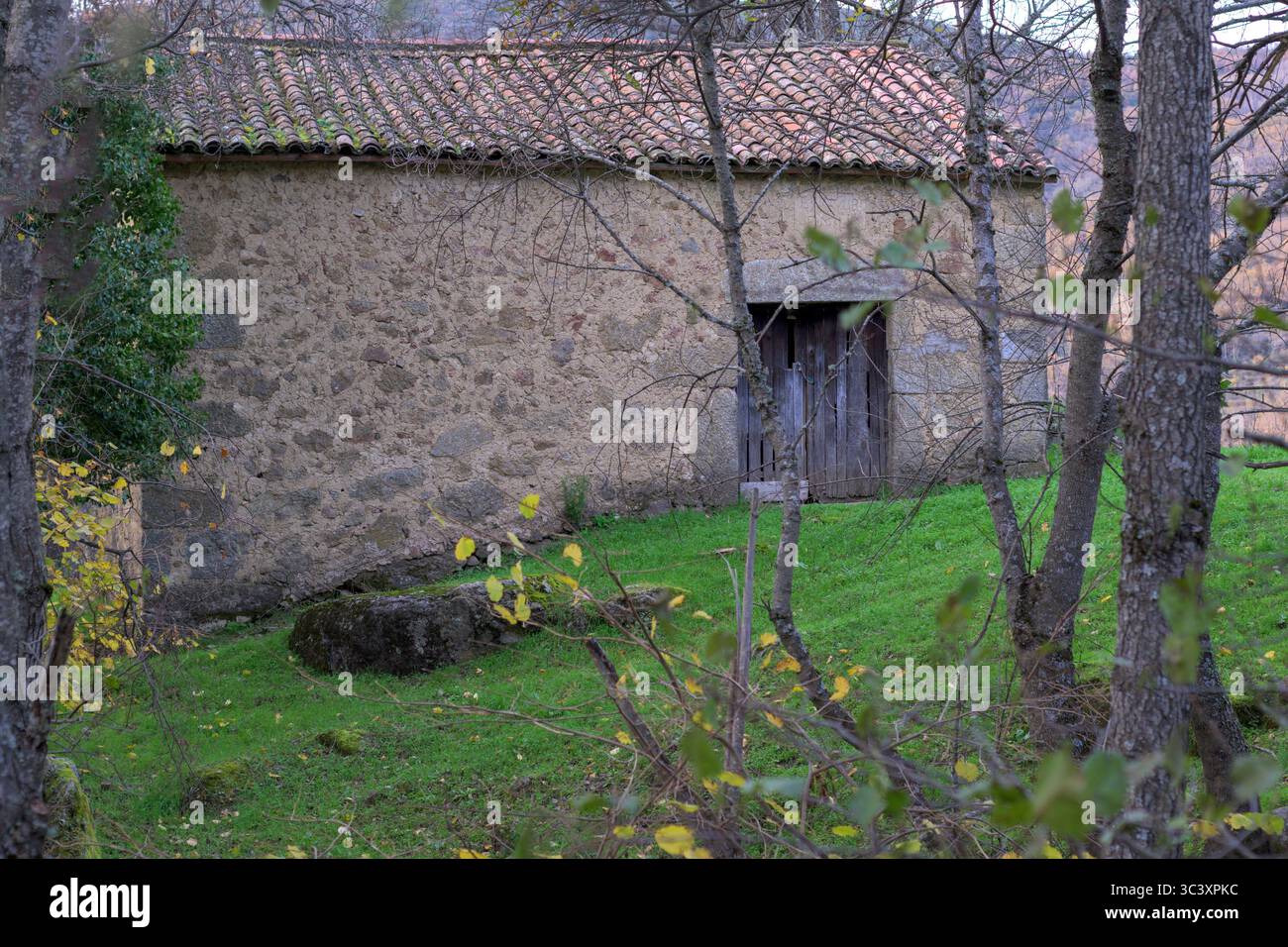 Altes rustikales Steinhaus mit Holztür, umgeben von grünem Gras und Bäumen mit Herbstlaub in einer ruhigen Waldlage. Stockfoto