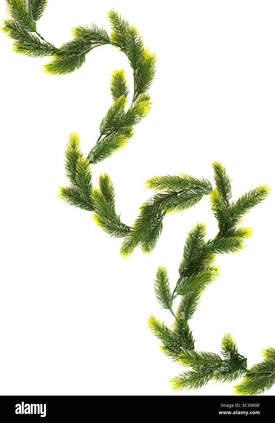 Handgemachte Weihnachtskiefer-Girlande mit hellgrünen Spitzen auf weißem Hintergrund. Ideal für festliches Kunsthandwerk, Heimwerkerprojekte und Dekorationsideen. Stockfoto
