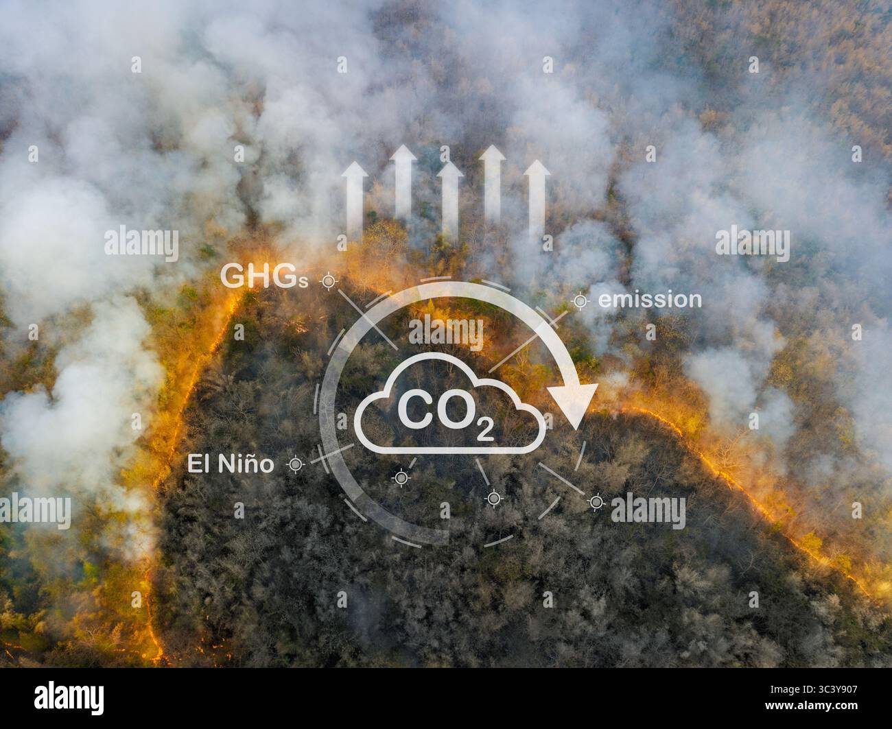 Klimawandel, Waldbrände setzen Kohlendioxidemissionen (CO2) und andere Treibhausgase (THG) frei, die zum Klimawandel und zur globalen Erwärmung beitragen Stockfoto