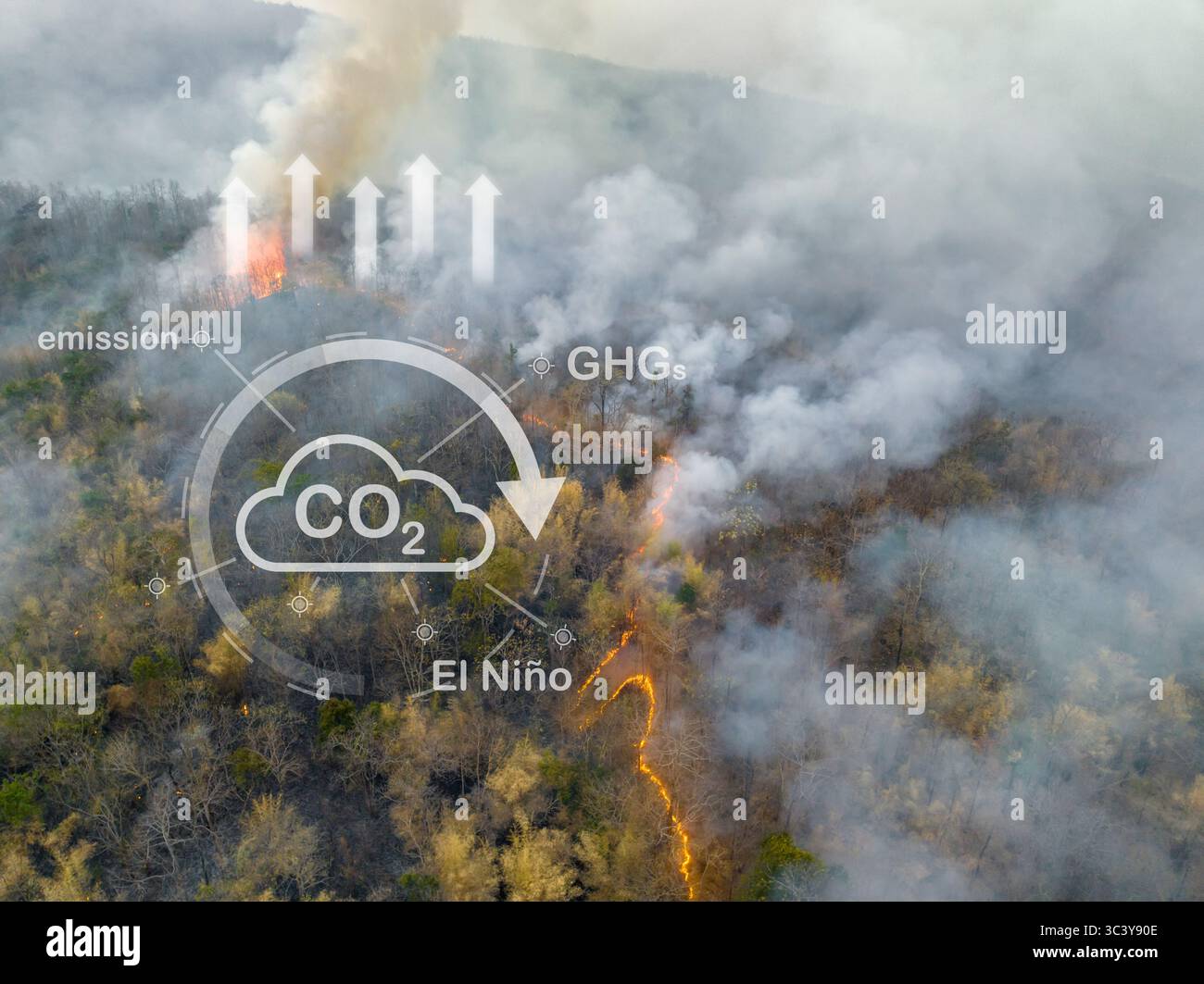 Klimawandel, Waldbrände setzen Kohlendioxidemissionen (CO2) und andere Treibhausgase (THG) frei, die zum Klimawandel und zur globalen Erwärmung beitragen Stockfoto
