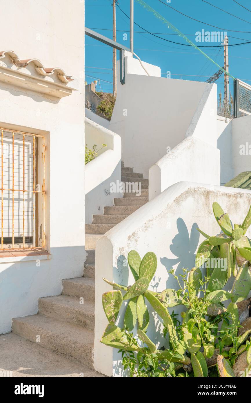 Weiße Mediterrane Architektur Mit Geschwungener Treppe Und Kaktuspflanzen. Traditionelles griechisches Inseldorf, weiß getünchte Mauern, Steintreppen, Küste Stockfoto