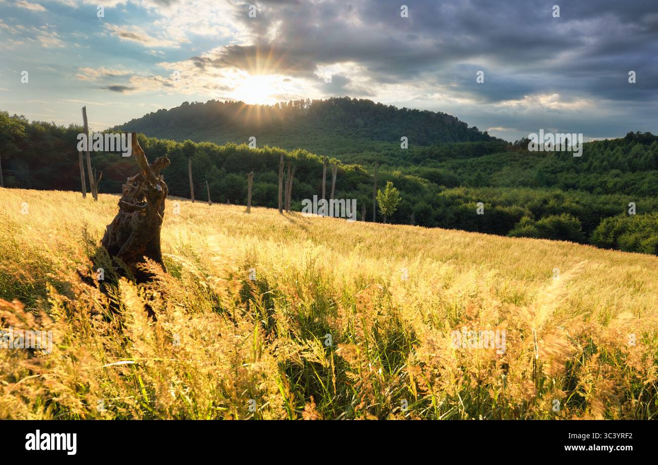 Wald Natur Landspitze mit Spitze und Sonne bei dramatischem Sonnenuntergang, Slowakei - Karpaten Stockfoto