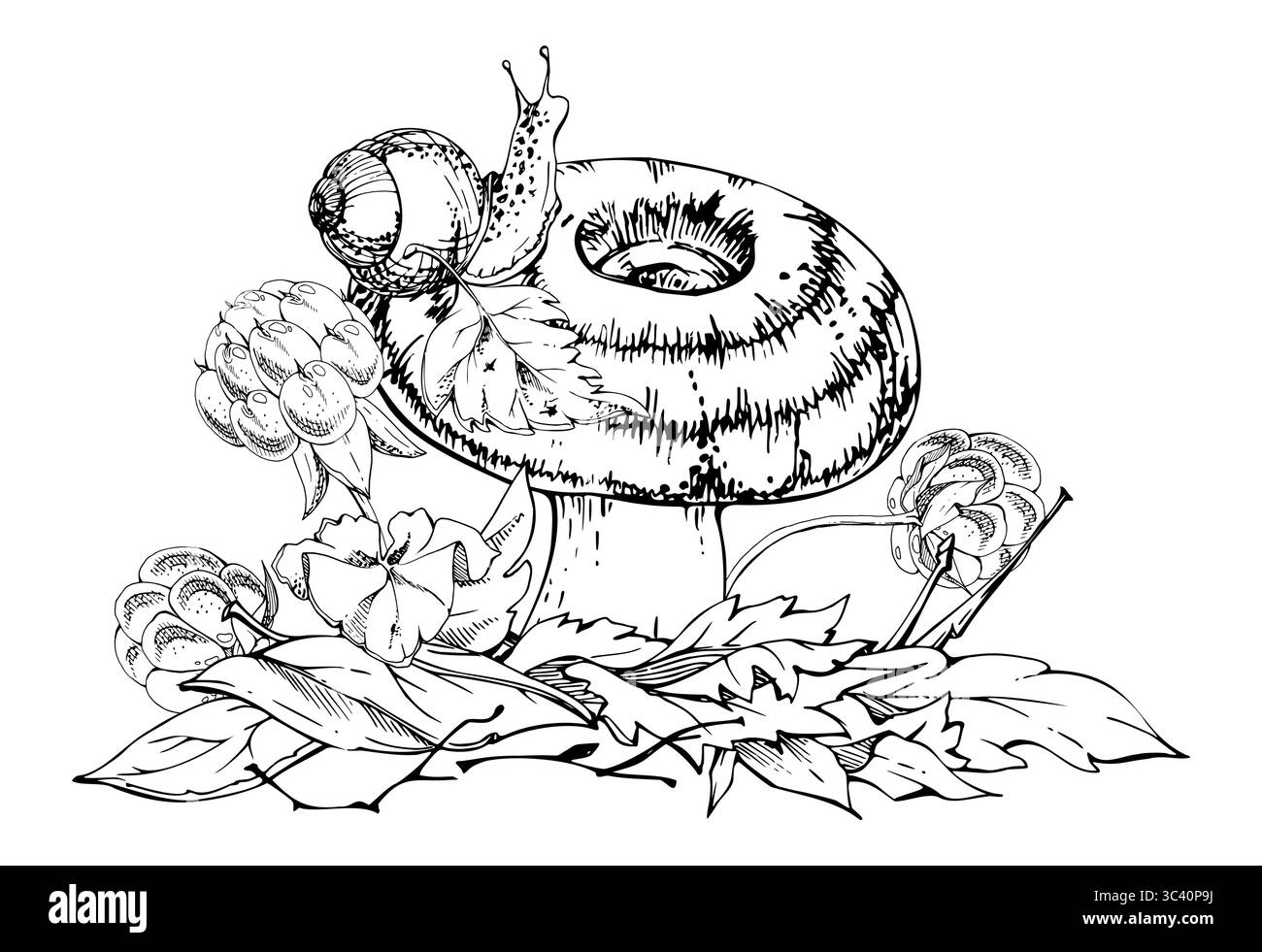 Lactarius-Milchmütze-Russula gestreifter Pilz, Schnecke auf der Kappe, Wolkbeeren, getrocknete Kiefernnadeln, Herbstblätter stapeln. Pilz Natur Illustration Hand Stock Vektor