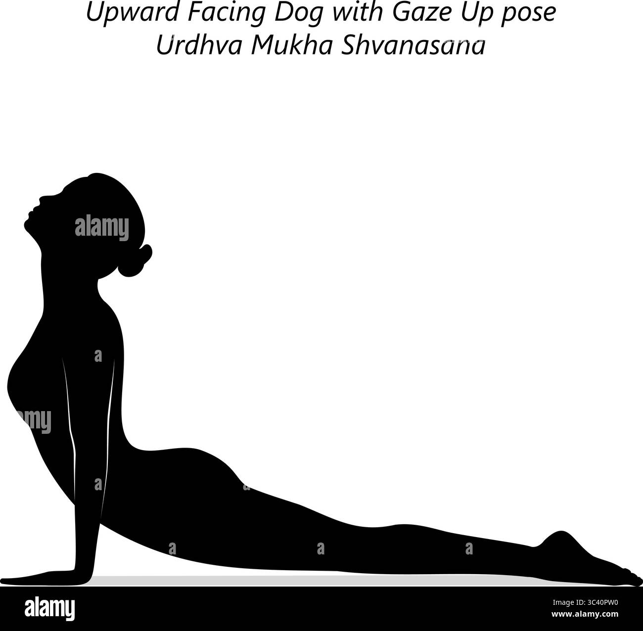 Silhouette einer Frau, die Urdhva Mukha Shvanasana Yoga-Pose praktiziert. Nach oben gerichtete Hunde-Yoga-Pose. Isolierte Vektordarstellung Stock Vektor