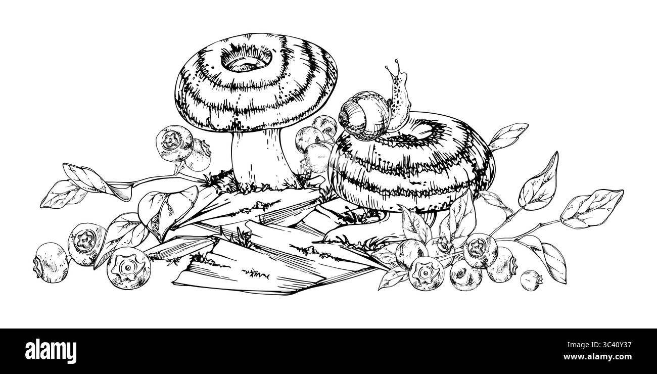 Lactarius-Milchmütze-Russula gestreifter Pilz, Schnecke auf der Kappe, Heidelbeerbeeren auf Rinde mit Moosflechten. Hand zur Illustration der Natur Stock Vektor