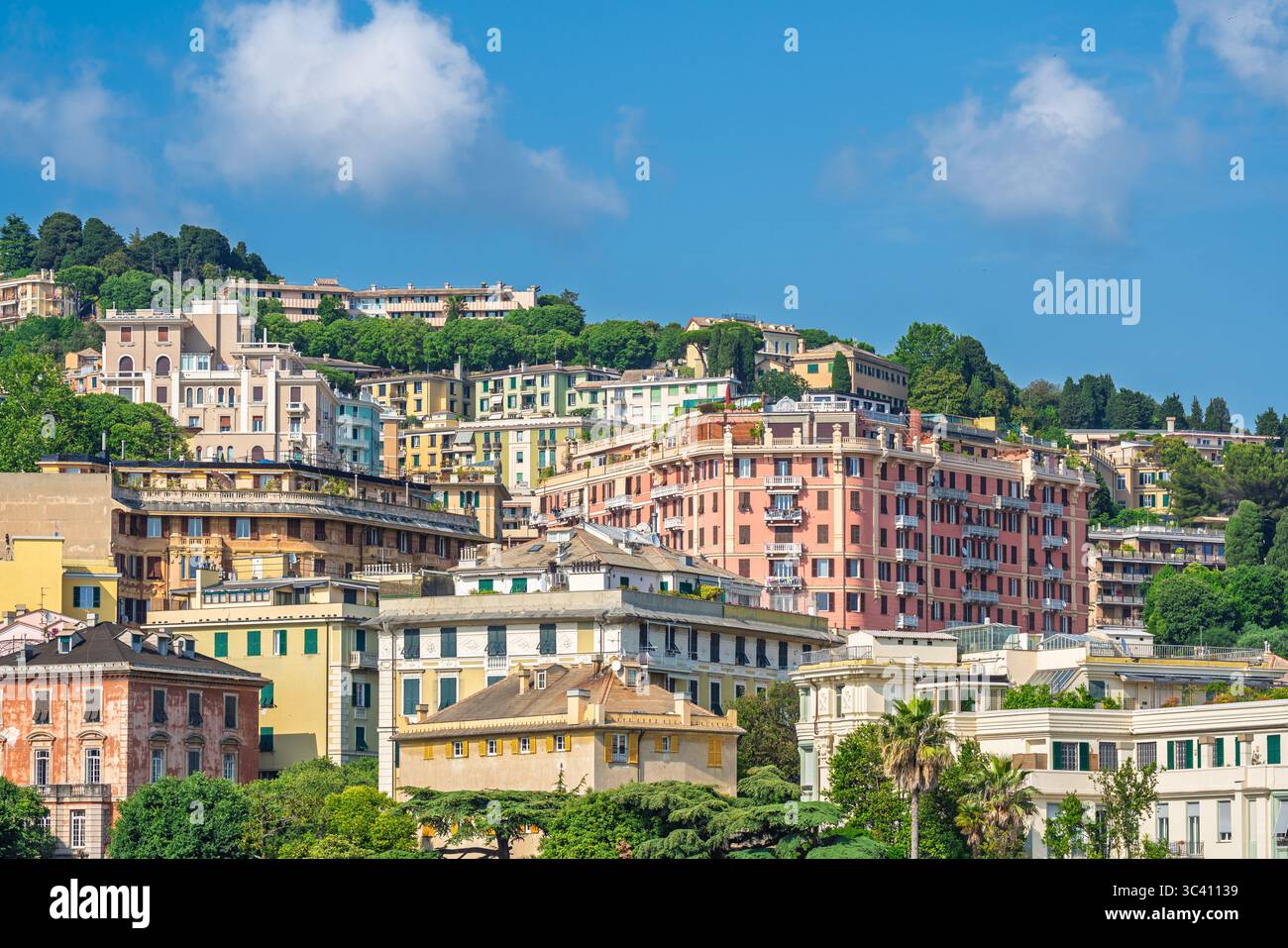 In Pastellfarben gestapelte Wohnhäuser erklimmen die Hügel von Genua, Italien, eingerahmt von Bäumen und beleuchtet von klarem Sommerlicht unter einem tiefblauen Himmel Stockfoto