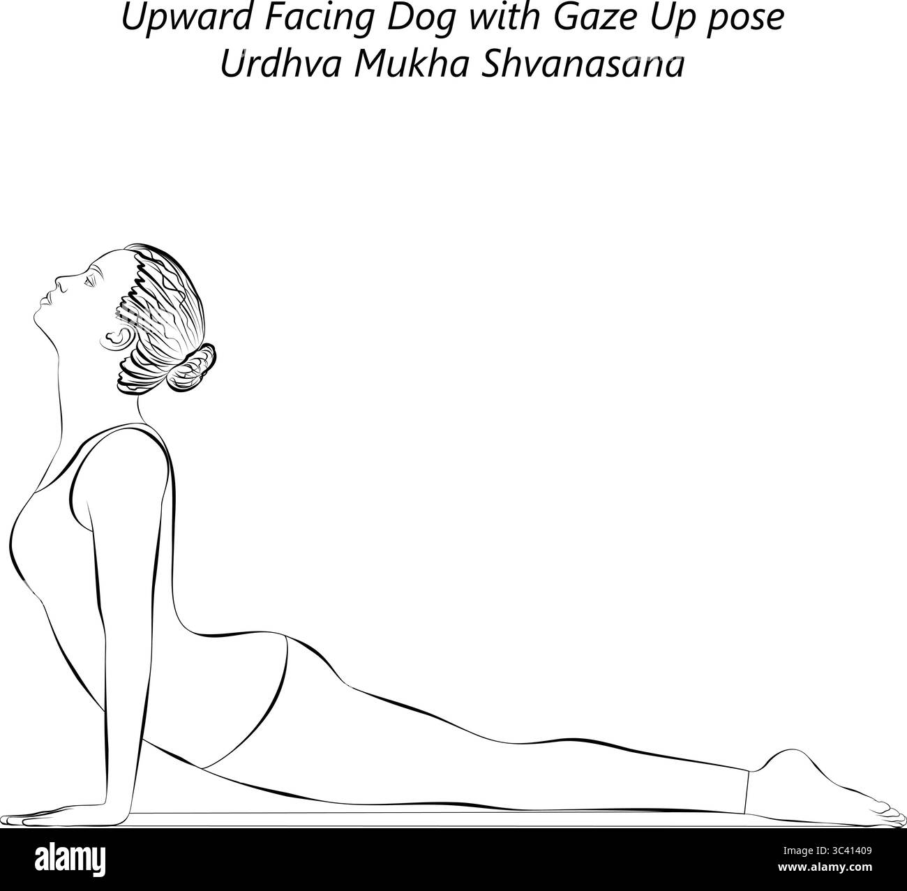 Skizze einer jungen Frau, die Urdhva Mukha Shvanasana Yoga-Pose praktiziert. Nach oben gerichtete Hunde-Yoga-Pose. Isolierte Vektordarstellung. Stock Vektor