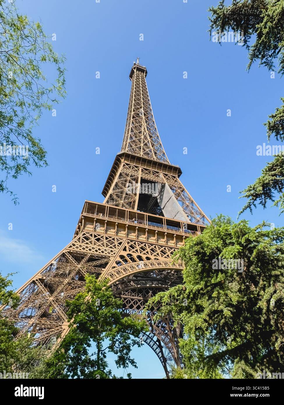 Blick durch Bäume auf den Eiffelturm in Paris, Frankreich. Stockfoto