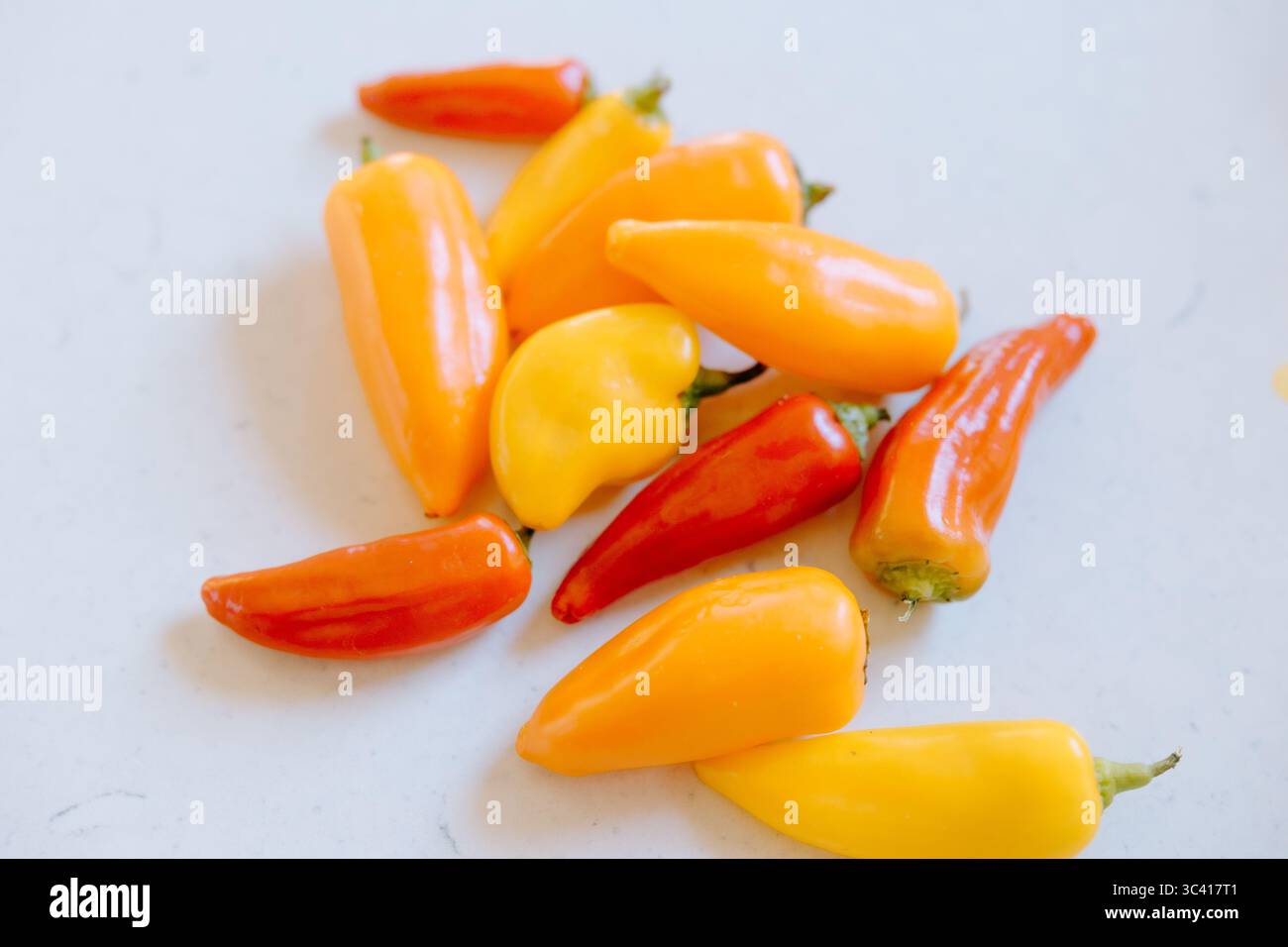 Bunte süße Mini-Paprika sorgen für Herbststimmung Stockfoto