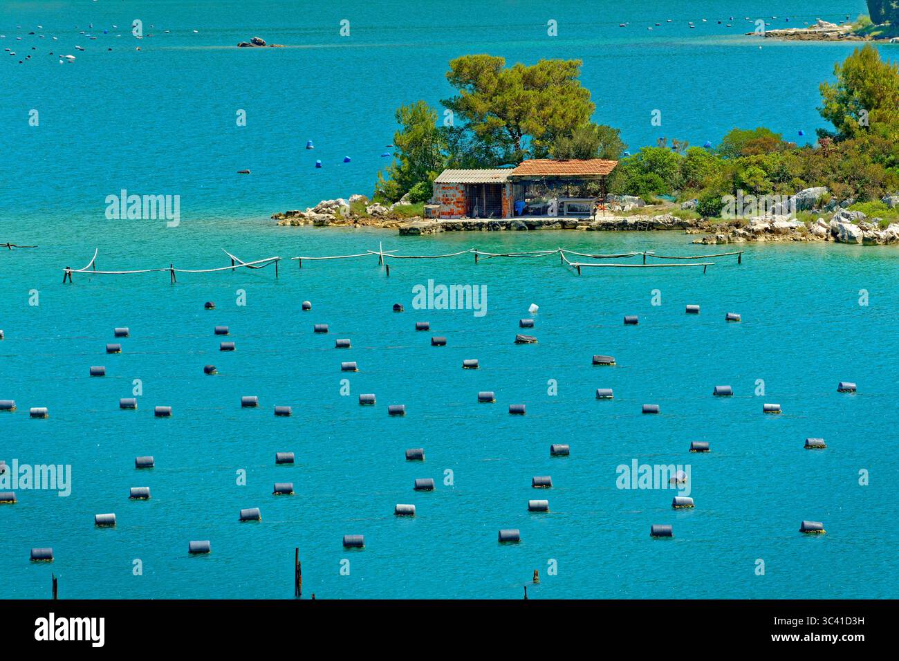 Muscheln- und Austernbetten in Ston an der dalmatinischen Küste Kroatiens. Stockfoto