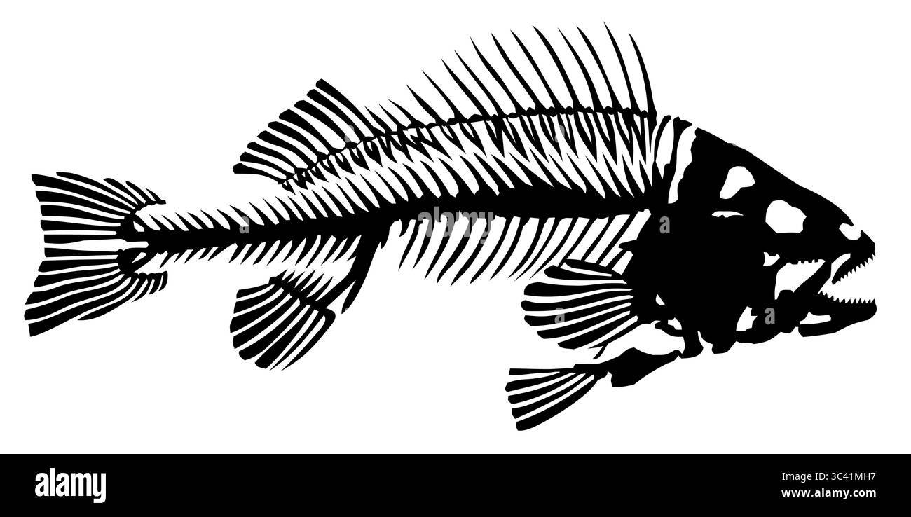 Skelett großer Raubfische. Stock Vektor