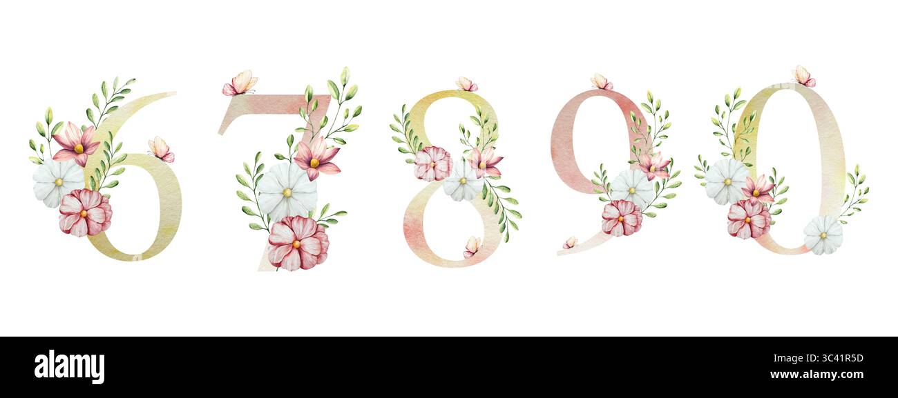 Elegante Nummer sechs, sieben, acht, neun, Null mit Blumen und Blättern, Schmetterling. Aquarellgerbera, Kamille, Echinacea. Handgezeichnete Wildblumenkunst Stockfoto