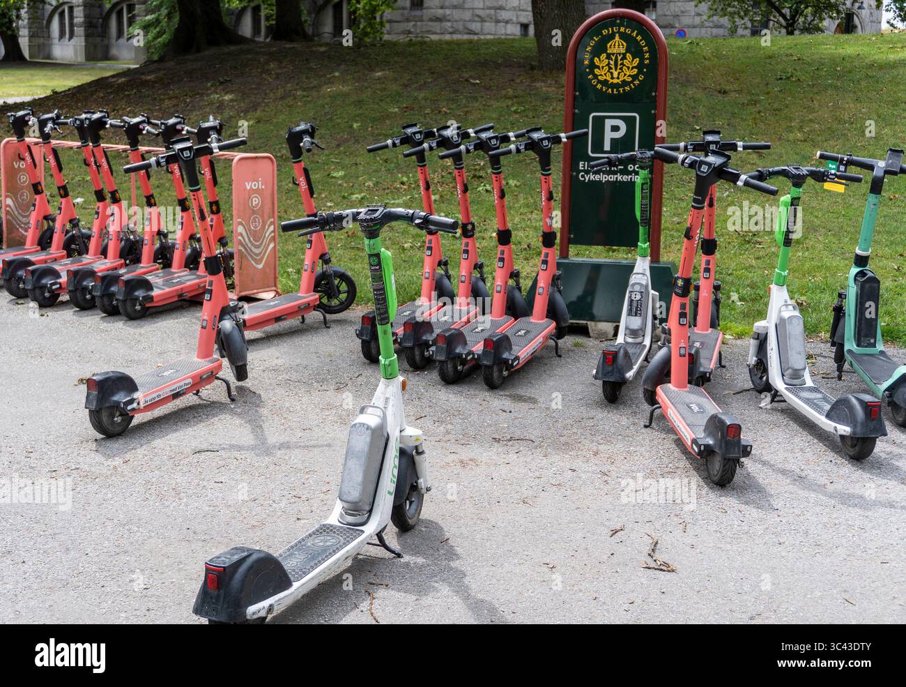 Elektroroller mieten in Stockholm, Schweden Stockfoto