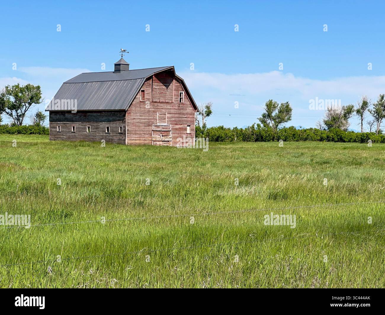 Eine verwitterte rote Scheune steht allein in einer breiten grasbewachsenen Prärie unter einem leuchtend blauen Himmel und erinnert an die klassische ländliche Americana. Stockfoto