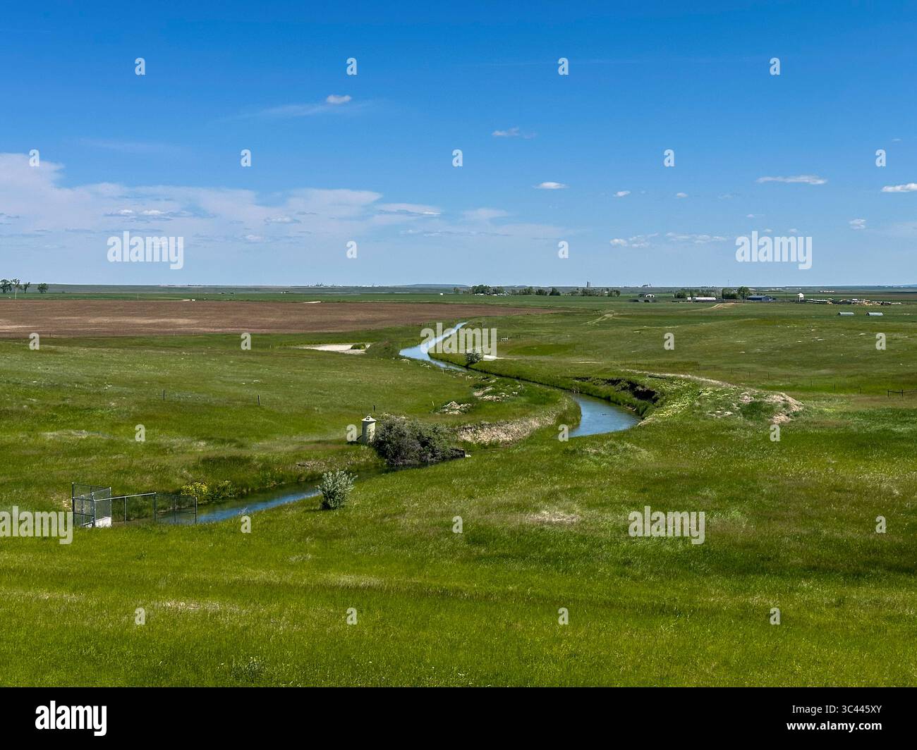 Ein gewundener Bewässerungskanal fließt durch die üppig grünen Prärien von Montana unter einem hellblauen Himmel und zeigt die ländliche Landnutzung und Wasserwirtschaft Stockfoto