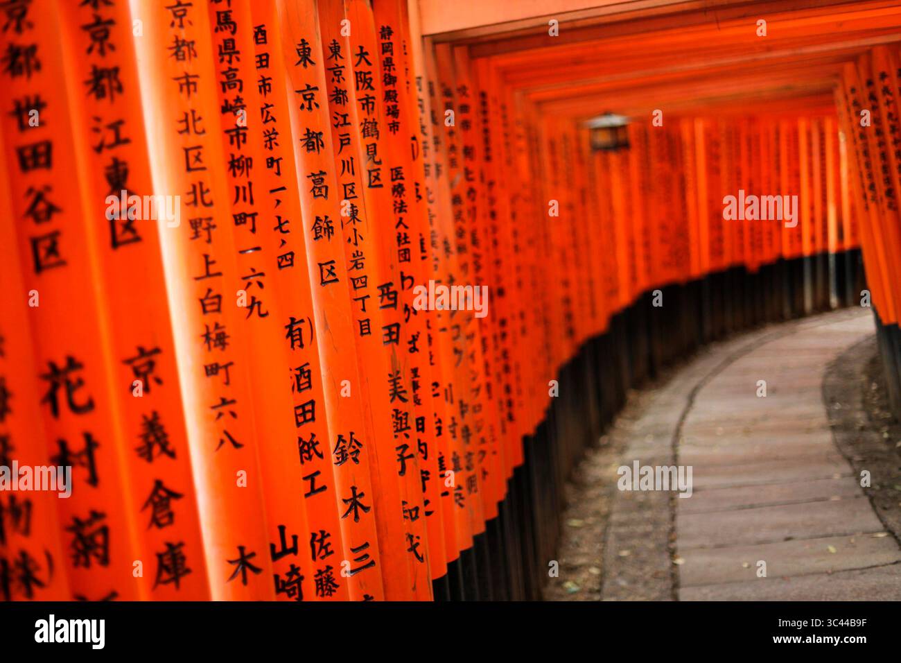 21. Juni 2011, Kyoto, Izmir, Japan: Fushimi Inari-Taisha-Schrein in Kyoto, Korridor der Roten Säulen. Japan. (Abbildung: © Uygar Ozel/ZUMA Wire) Stockfoto