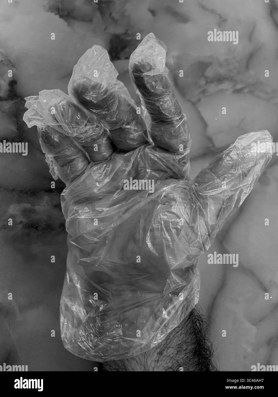 6. Juni 2021, SARASOTA, FLORIDA, USA: Forscher konzentrierten ihre Aufmerksamkeit auf die neun Mutationen, die das Spike-Protein verändern, das das Coronavirus bedeckt und es ermöglicht, Zellen einzudringen. Eine dieser Mutationen hilft dem Virus, enger an Zellen zu binden, was potenziell seine Chancen auf eine erfolgreiche Infektion erhöht. (Bild: © John Marshall Mantel/ZUMA Wire) Stockfoto 6. Juni 2021, SARASOTA, FLORIDA, USA: Forscher konzentrierten ihre Aufmerksamkeit auf die neun Mutationen, die das Spike-Protein verändern, das das Coronavirus bedeckt und es ermöglicht, Zellen einzudringen. Eine dieser Mutationen hilft dem Virus, enger an Zellen zu binden, was potenziell seine Chancen auf eine erfolgreiche Infektion erhöht. (Bild: © John Marshall Mantel/ZUMA Wire) Stockfoto